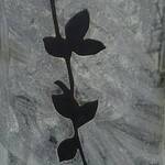 Immagine: Lebenicnik la rosa '97