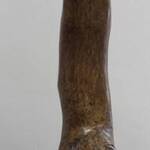 Immagine: Lebenicnik mostro marino