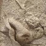 Immagine: Lorenzini Roberto - 2 Una rosa nel cemento malta e cemento 30x30x