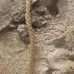 Immagine: Lorenzini Roberto - 3 Una rosa nel cemento malta e cemento 30x30