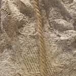 Immagine: Lorenzini Roberto - 4 Una rosa nel cemento malta e cemento 30x30