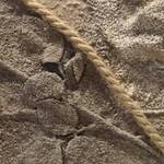 Immagine: Lorenzini Roberto - Una rosa nel cemento malta e cemento 30x30