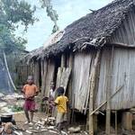 Immagine: Madagascar04