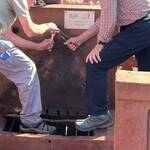 Immagine: Madagascar05