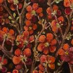 Immagine: Mesrian - Fiore giapponese - japanese quince