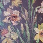 Immagine: Mesrian - Narciso - narcisus daffodil