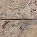 Immagine: Molinari Mery - in cammino attraverso la vita tecnica mista - 30x30