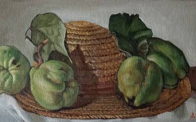 Immagine: Morato Bruno - 5 Mele cotogne su cappello di paglia olio su tavola telata cm.21,5x44