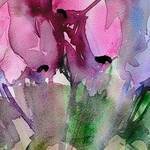 Immagine: MORENA CARLI