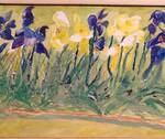 Immagine: Odorizzi - siepe di Iris