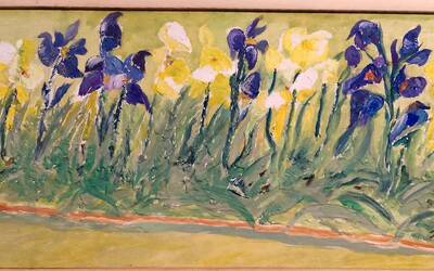 Immagine: Odorizzi - siepe di Iris