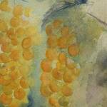 Immagine: Paola Zucchelli -Sotto la pergola