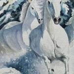 Immagine: Patrizia Macor - liberta