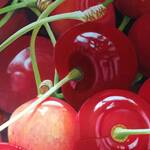 Immagine: Pontalti - 2.Ciliegie - acrilico h.60 x l.80