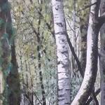 Immagine: Pontalti Mario - 04