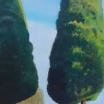 Immagine: Pontalti Mario - 06