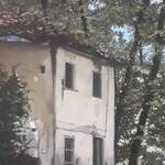 Immagine: Pontalti Mario - 08