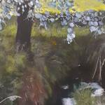 Immagine: Pontalti Mario - 09