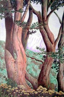 Immagine: Alberi