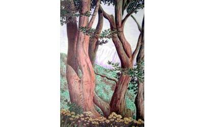 Immagine: Alberi