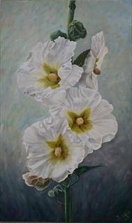 Immagine: Althea bianca