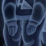 Immagine: Antenato, 2007