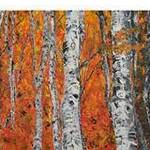 Immagine: Betulle d'autunno