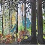 Immagine: Bosco all'alba