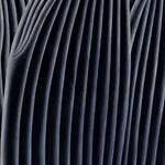 Immagine: Bosco con volpe, 2004
