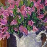 Immagine: Buganvillea nel vaso