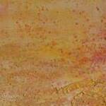 Immagine: C pioggia 09