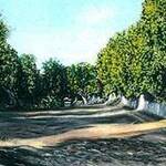 Immagine: Calimera, Boschetti