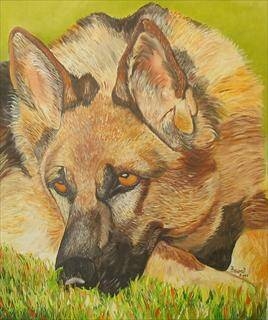 Immagine: Cane lupo, olio su tela