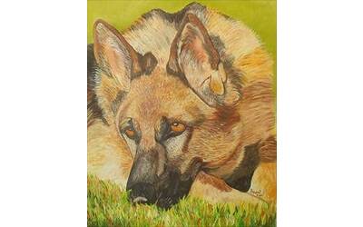 Immagine: Cane lupo, olio su tela