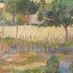 Immagine: Casa rossa