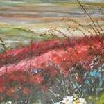 Immagine: Castelluccio