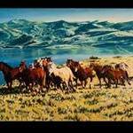 Immagine: Cavalli e cowboy II