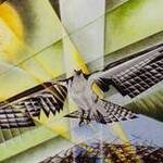 Immagine: Cristiane Windhost “ Aquila”