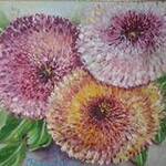 Immagine: Dalie - Dahlias