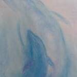 Immagine: Delfini Azzurri