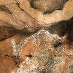 Immagine: Dettaglio 1