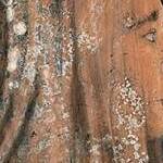 Immagine: Dettaglio 4