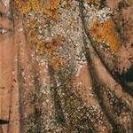 Immagine: Dettaglio 5