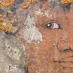 Immagine: Dettaglio 7