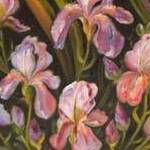 Immagine: Famiglia di Iris (Iris Family)