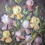 Immagine: Famiglia Iris - Iris Family