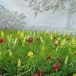 Immagine: fiori 11
