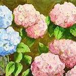 Immagine: fiori 19