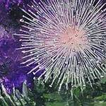 Immagine: fiori 2
