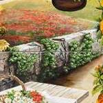 Immagine: fiori 24